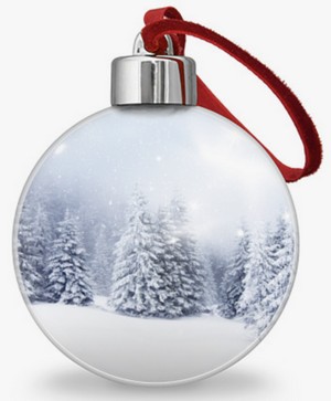 Зимние товары, Новый год, Символ года